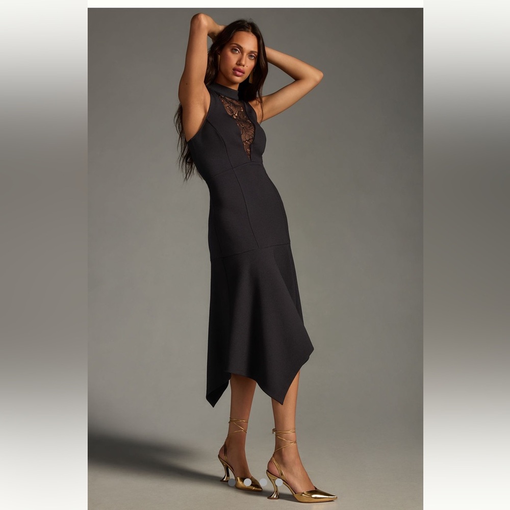 NWT XL ANTHRO Mock Neck Lace Insert Fit and Flare Dress
